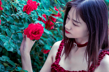 广东省能源集团党委原副书记黎凯生接受审查调查